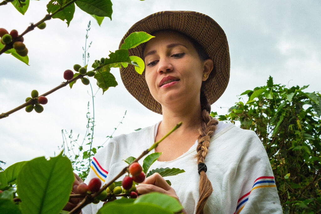 Young coffee grower